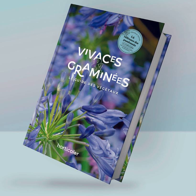 Promesse de Fleurs - Vivaces & Graminées