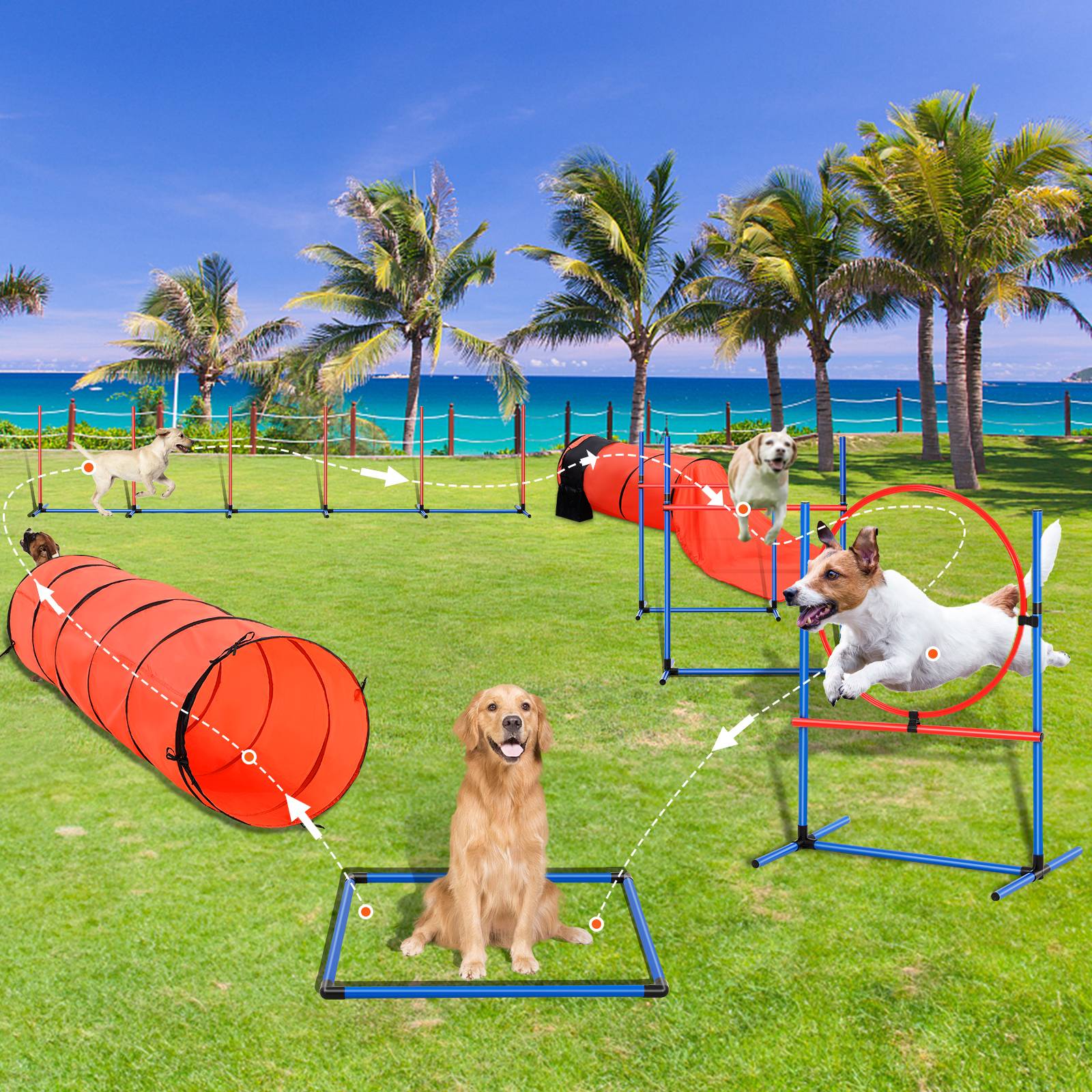 VEVOR Kit équipements agilité chien, 7 pièces. Haies, tunnels, anneau saut. - Image 8