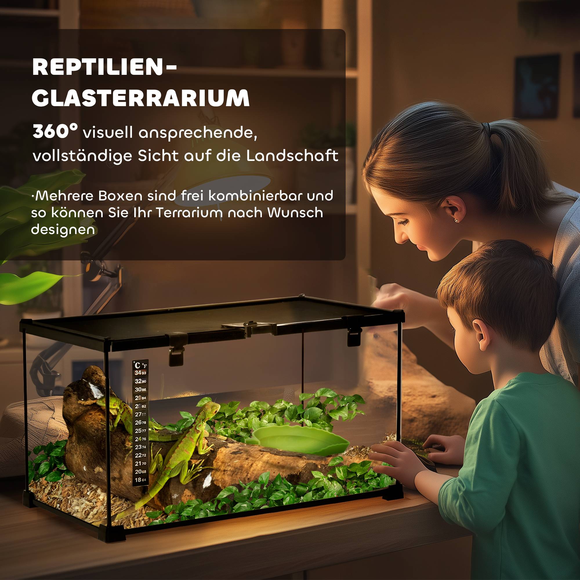 Boîte terrarium pour reptiles, thermomètre à bande, trappes d'alimentation, 50×30×25cm, verre et métal, noir - Image 6