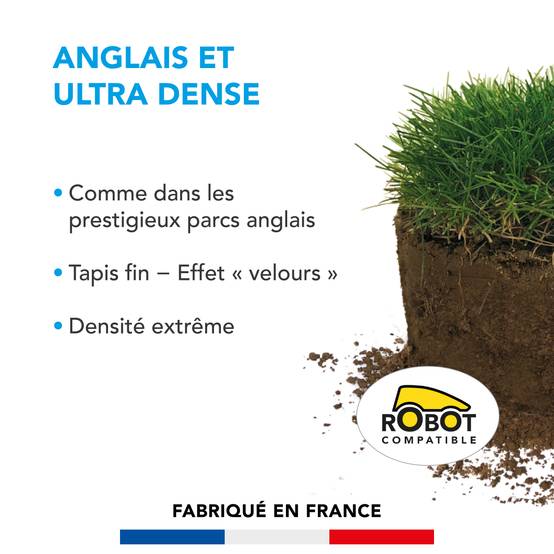 Gazon Anglais et Ultra dense - Aspect Prestigieux Parcs Anglais - Tapis Dense Effet velours - Densité Extrême - 3KG - BARENBRUG - Image 2