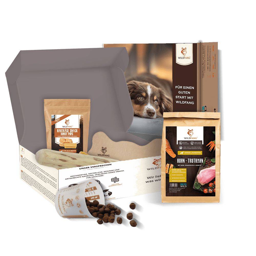Wildfang - Pack chiot « Bienvenue à votre compagnon à quatre pattes » - pour les grands chiens de plus de 25 kg - Image 1
