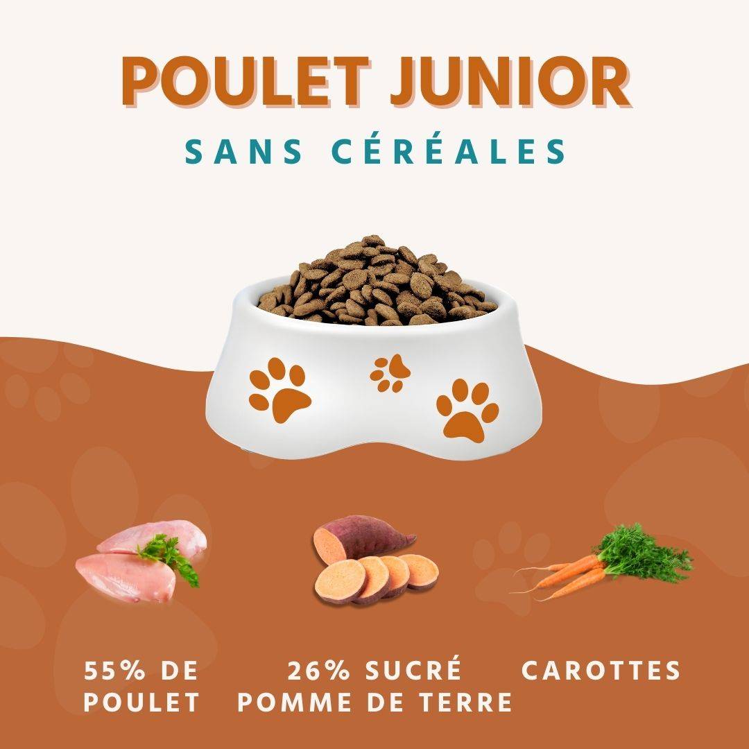 Wildfang - Pack chiot « Bienvenue à votre compagnon à quatre pattes » - pour les grands chiens de plus de 25 kg - Image 8