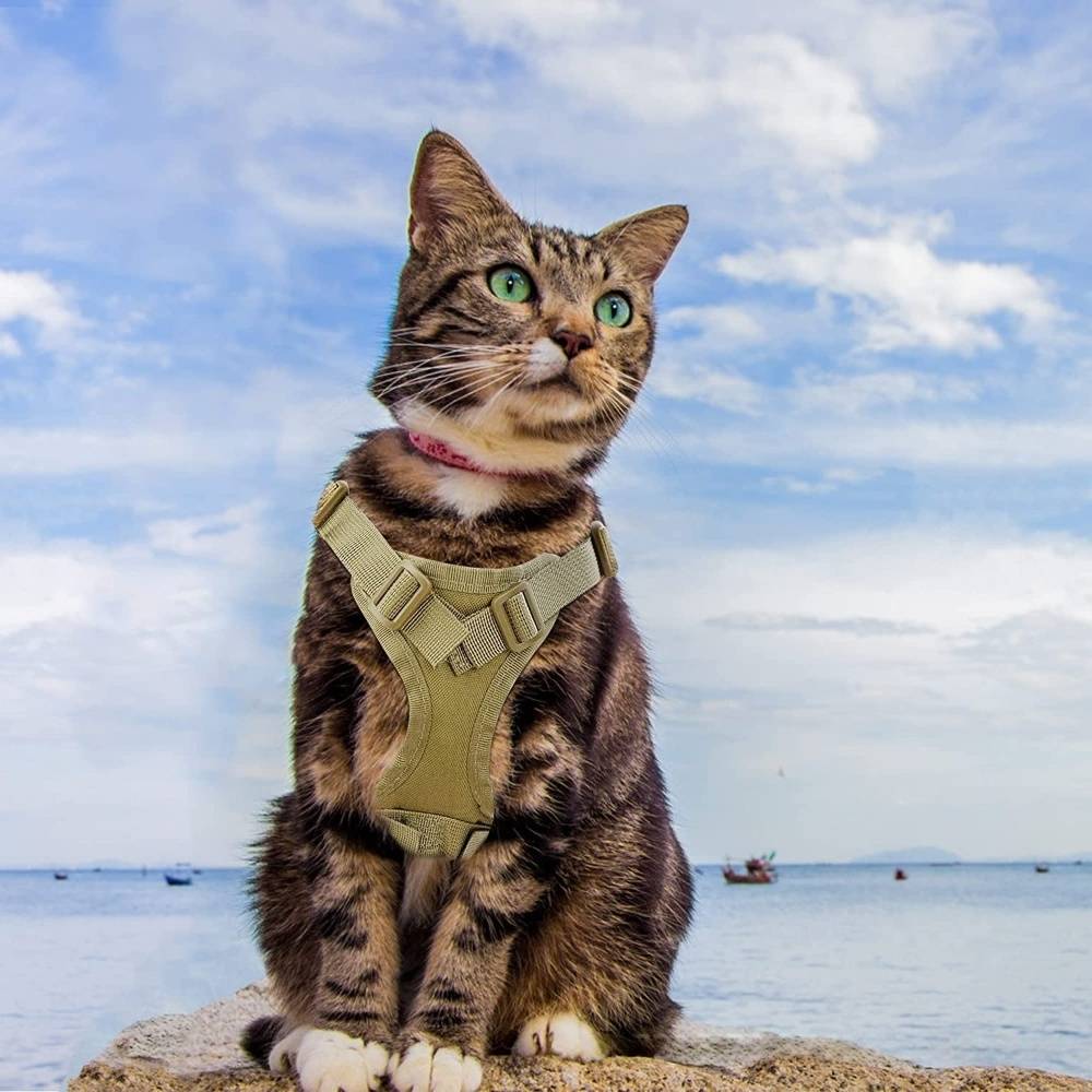 Harnais réglable pour chat et chien - IntiMeg - Image 5