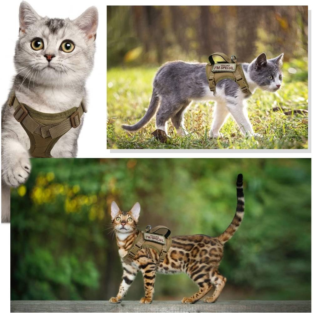 Harnais réglable pour chat et chien - IntiMeg - Image 3