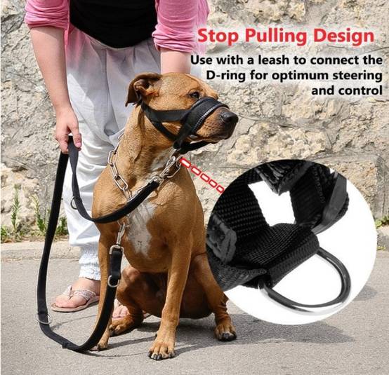 Muselière Ajustable pour Chien - Anti-Morsure & Léchage-Living123 - Image 3