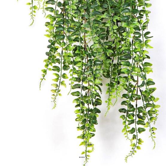Superbe fausse fougère de Boston en chute H 75 cm - Image 3