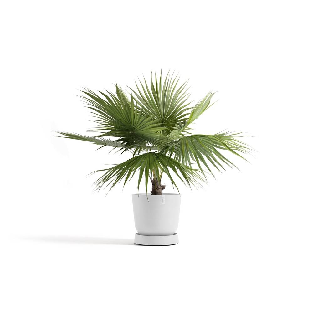 Ecopots - Soucoupe à roulette 60 Pure White ECOPOTS - Image 2
