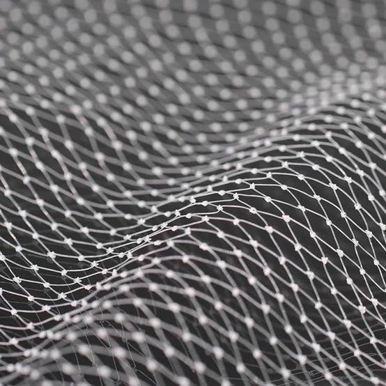 Filet de Protection Anti-Oiseaux 4x10m - Maille 15x15mm en Nylon - Image 4