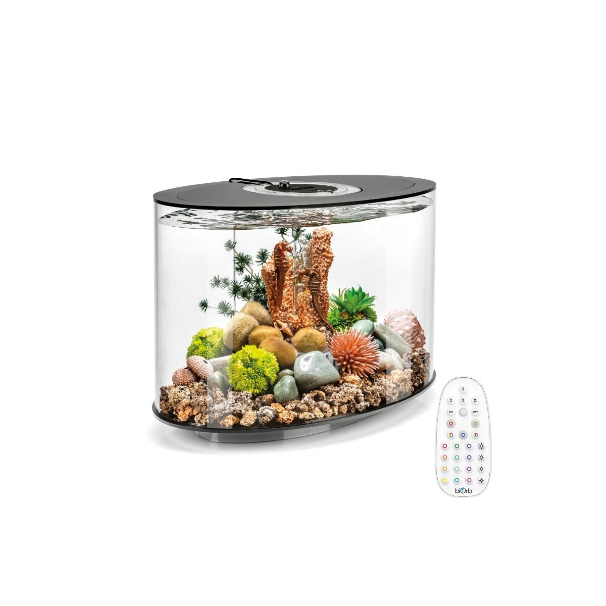 Oase - Aquarium long 15l contours noir LOOP 15 MCR BLACK Oase - Image 1