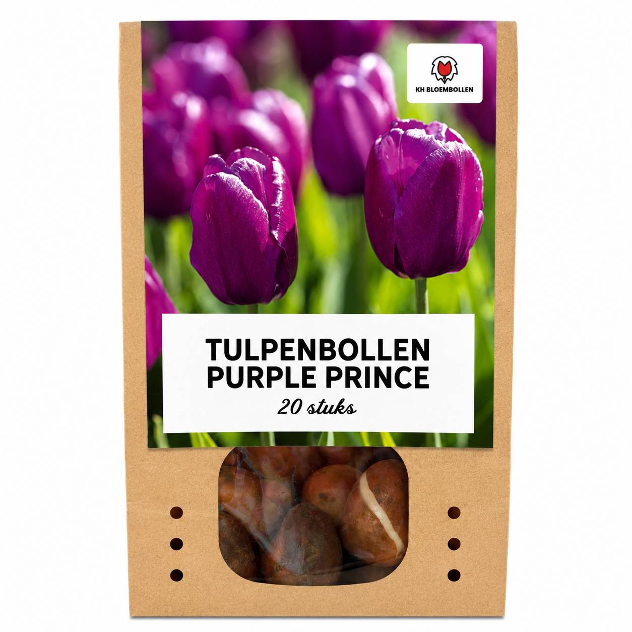 La Green Touch - Tulipe Purple Prince - 20 bulbes - Image 1