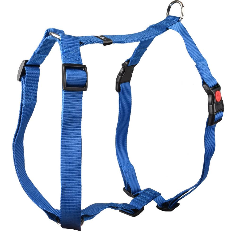Harnais H Ziggi  XXL+ cou  de 70 -110 cm 25 MM  bleu pour chien. - Image 1