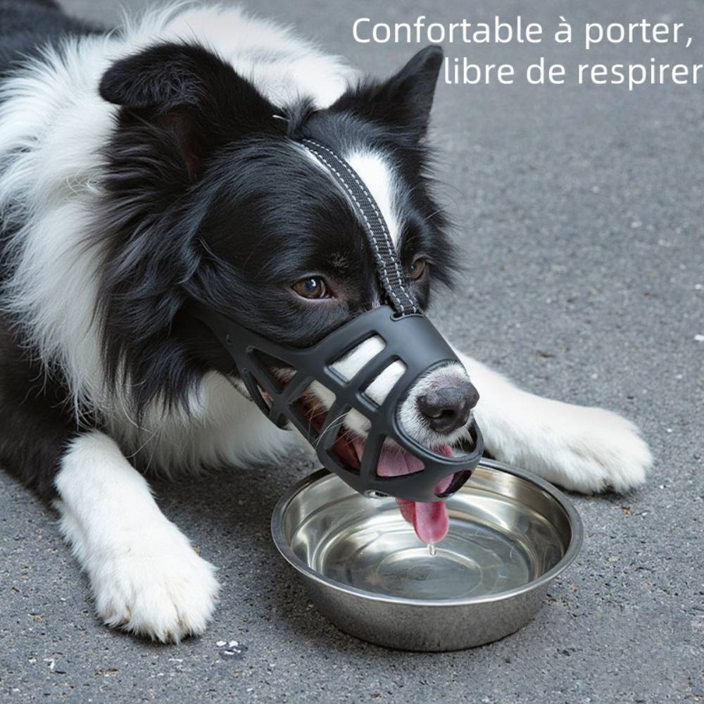 Muselière pour chien S - IntiMeg - Image 3