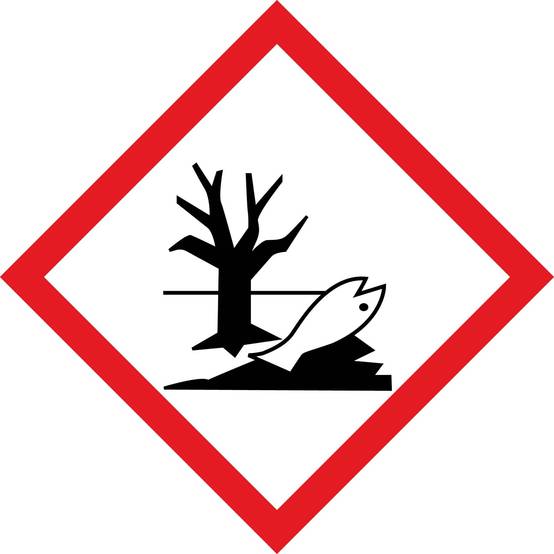 Aqualux - Anti-algues curatif, bidon 5L, EDG - AQUALUX - 200065 - Image 6