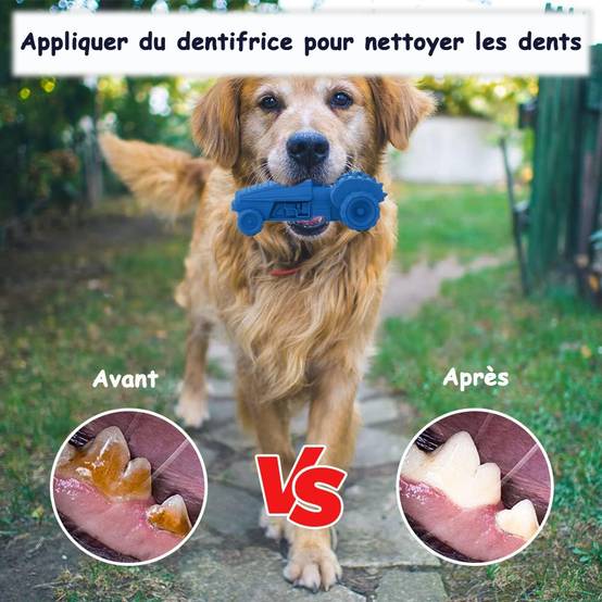 Petsation - Jouet bleu en latex à mâcher robuste et résistant pour moyens et grands chiens - Petsation - Image 4