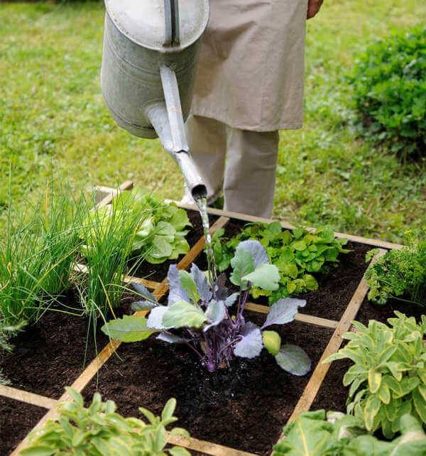 Jardipolys - Carré potager CARDON 120 - 134 x 134 x 24 cm - 288 L - 16 carrés de 28 x 28 cm Jardipolys - Image 2