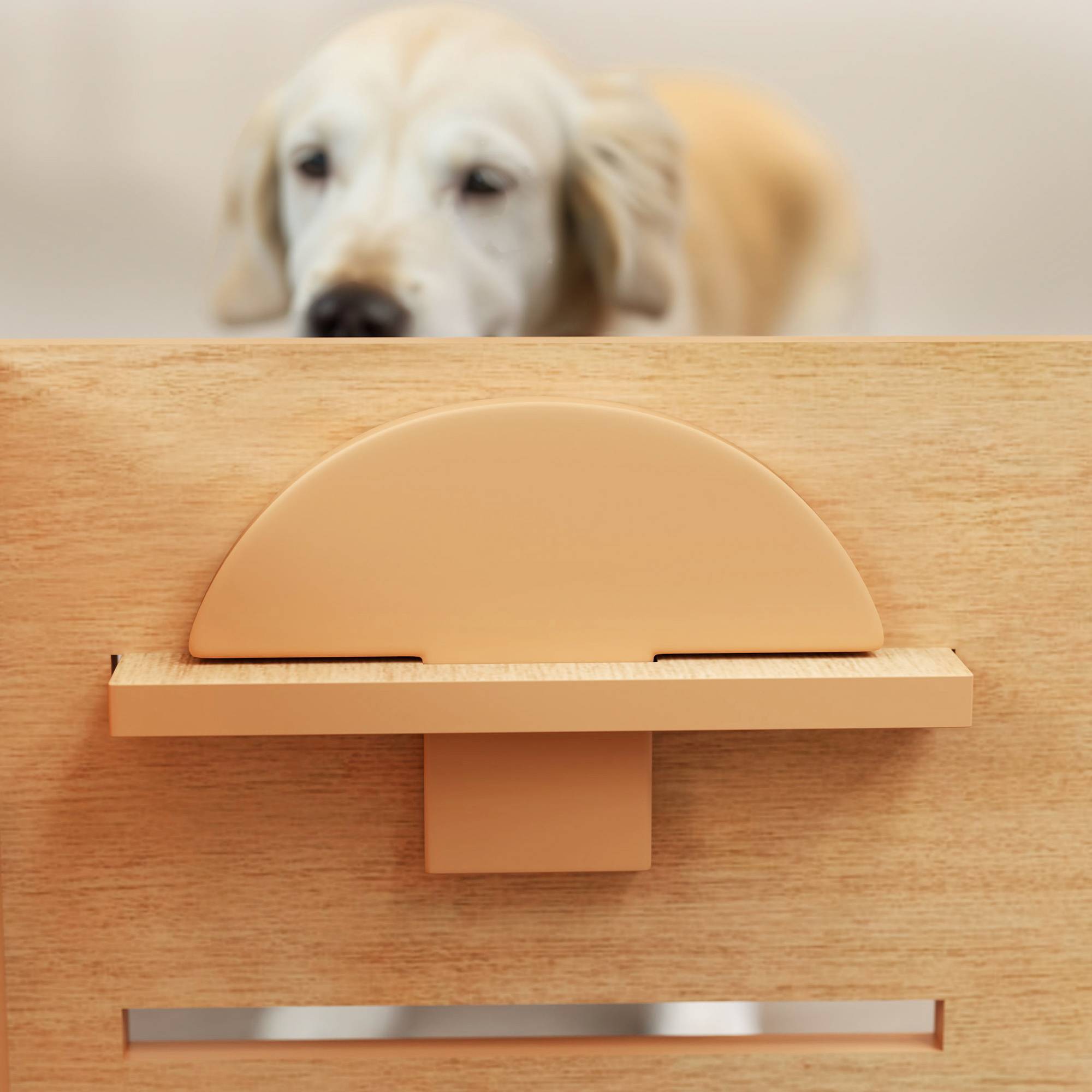 Sans Marque - Gamelle chien surélevée de 3 hauteurs ajustables gamelle pour chien 2 bols acier inoxydable 63 x 58,5 x 40 cm chêne - Image 10