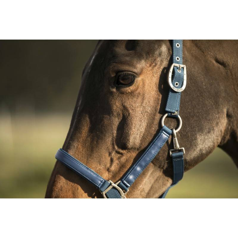 Licol LAMI-CELL "LC" - Taille cheval Lami-Cell Couleurs Bleu - Image 2