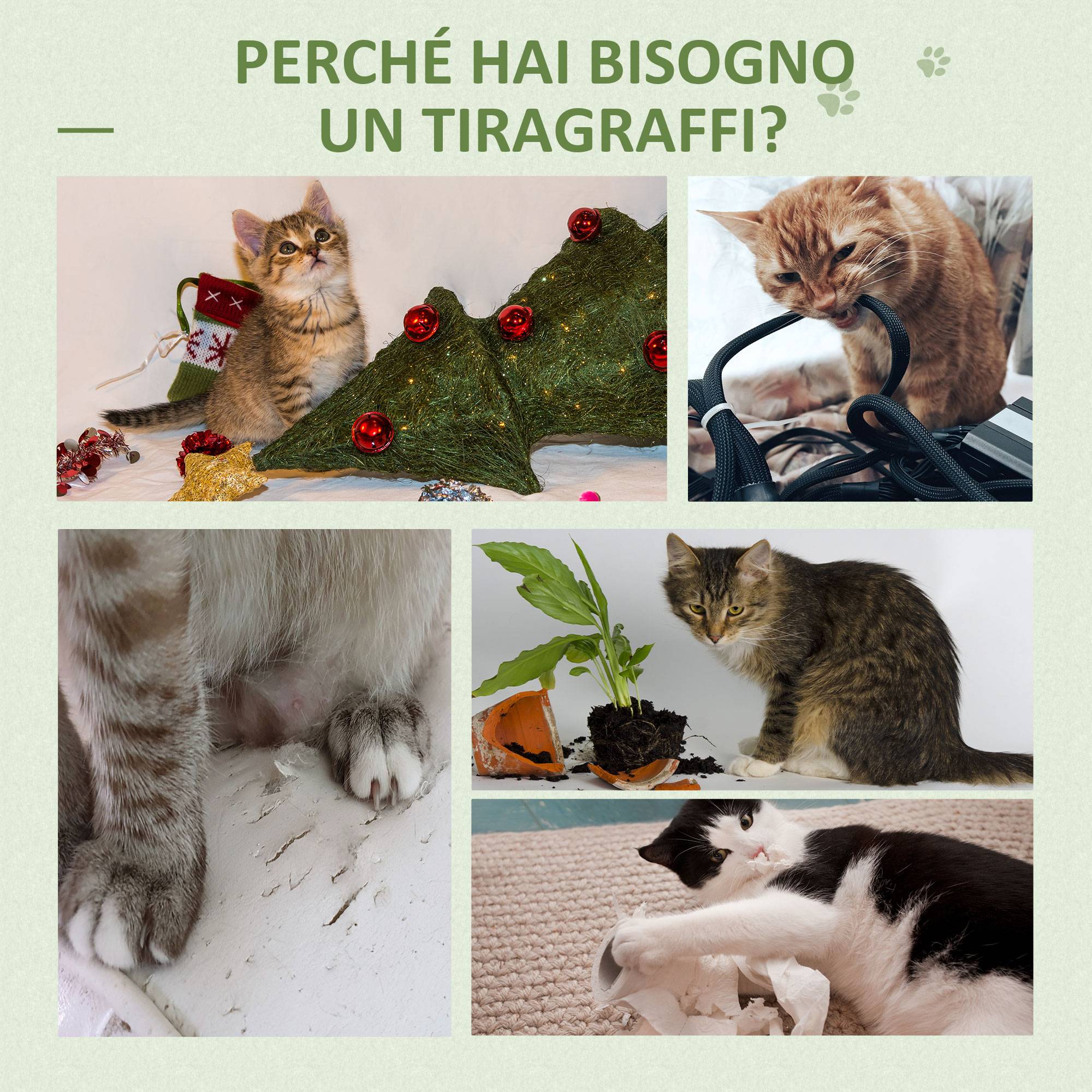 Arbre à chat en forme de cactus avec balles et hamac pour chats jusqu'à 4,5 kg - Vert - Image 9