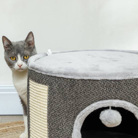 Niche à chat 2 niveaux en feutrine avec coussins et griffoir sisal 40x30cm gris - ComfortXL Outdoor Living - Image 9