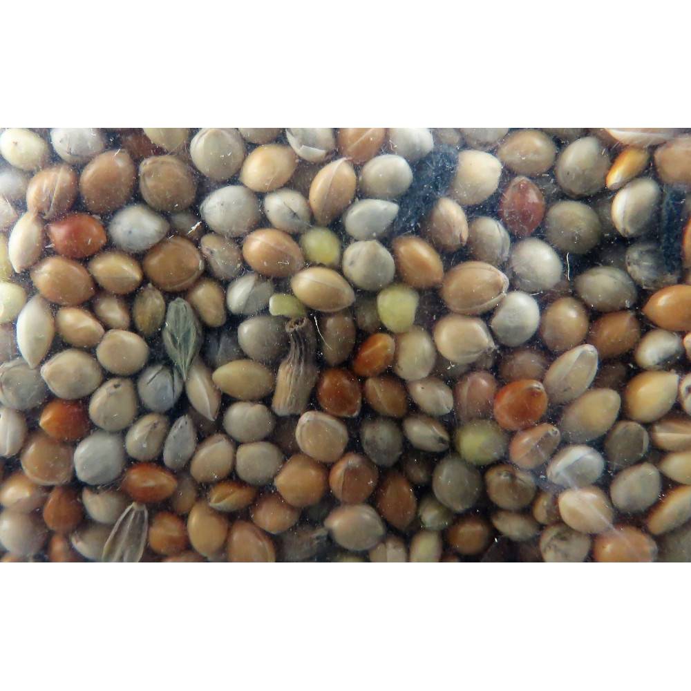 animallparadise - Graines perruches nutrimeal - 12kg pour oiseaux - Image 3