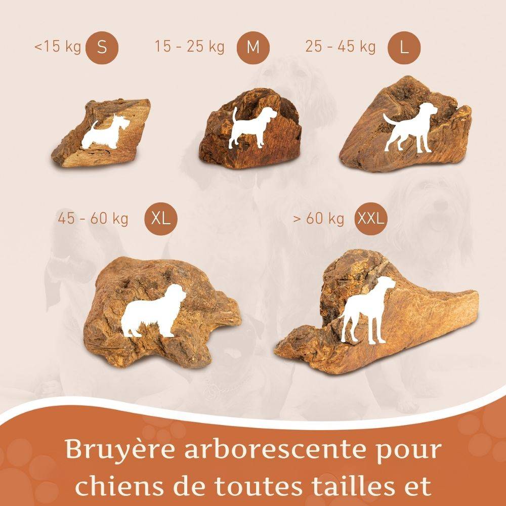 Wildfang - Wildfang - Pack « Articles préférés » - pour chiens de petite race jusqu'à 10 kg - Image 6