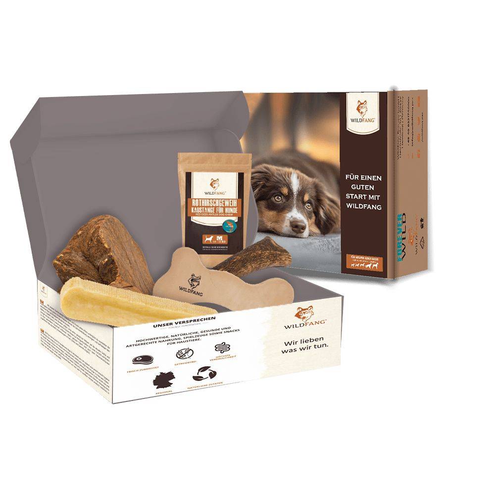 Wildfang - Wildfang - Pack « Articles préférés » - pour chiens de petite race jusqu'à 10 kg - Image 1