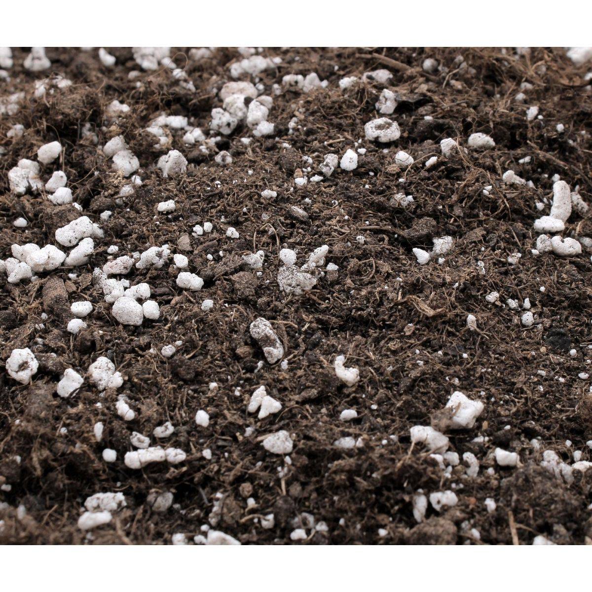 BioBizz All-Mix 20 Litres - Terreau Pré-Fertilisé Bio Pour Plantes Intérieur Extérieur