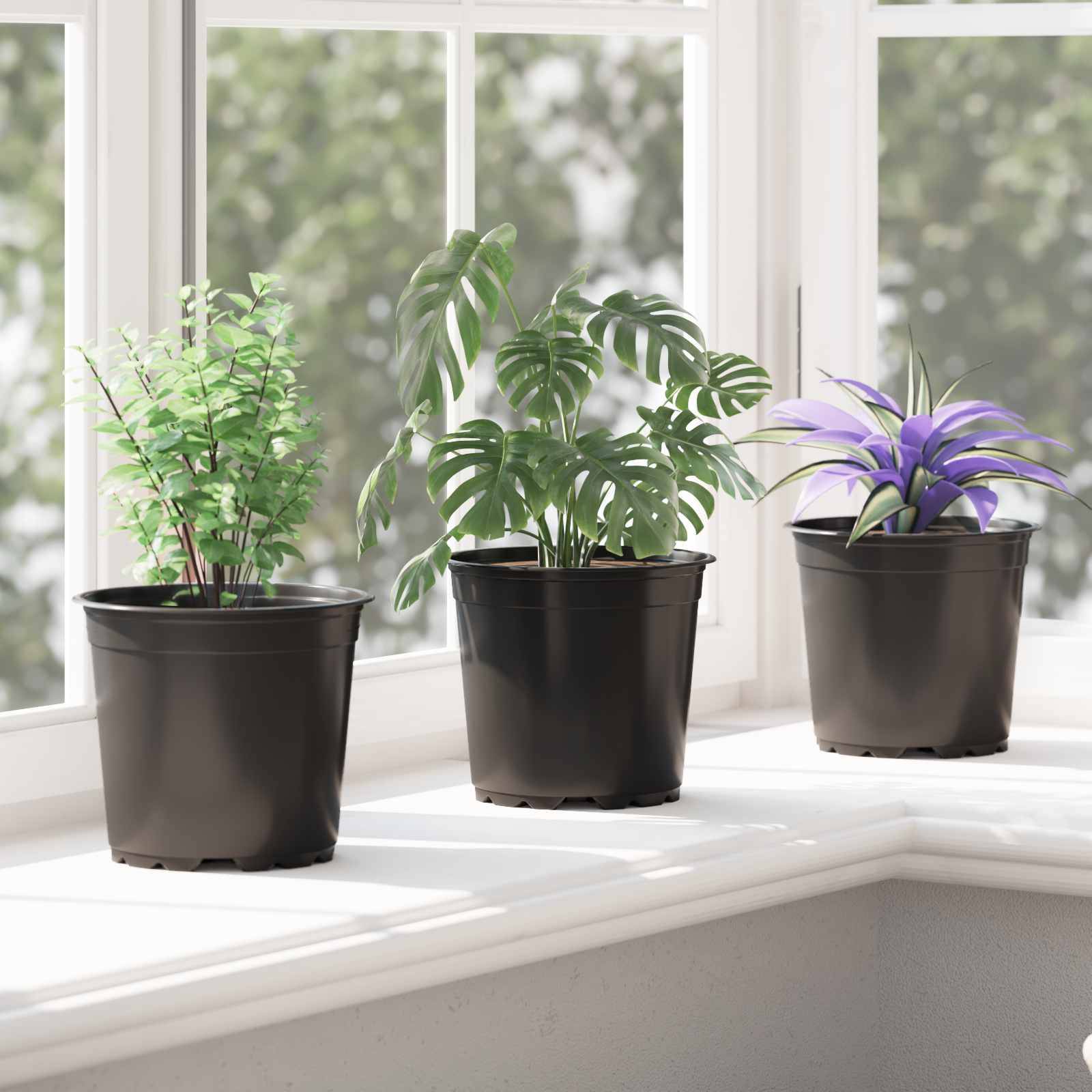 Lot de 50 Pots de Fleurs Modernes Plastique pour Jardin avec Drainage 15x13 cm Noir - ComfortXL Outdoor Living - Image 5