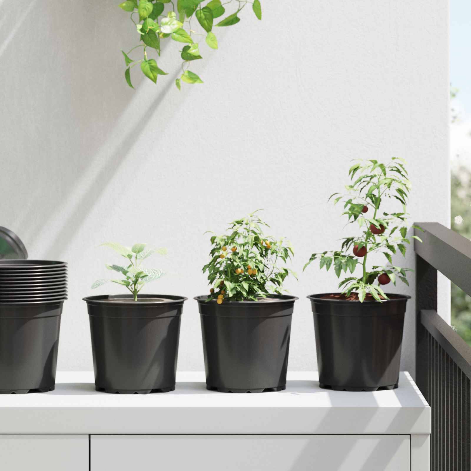 Lot de 50 Pots de Fleurs Modernes Plastique pour Jardin avec Drainage 15x13 cm Noir - ComfortXL Outdoor Living - Image 1