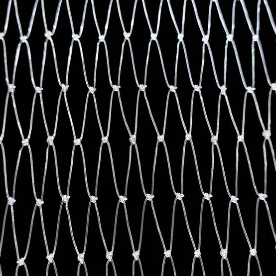 Filet de Protection Anti-Oiseaux 8x10m - Maille 15x15mm en Nylon Résistant - Image 2