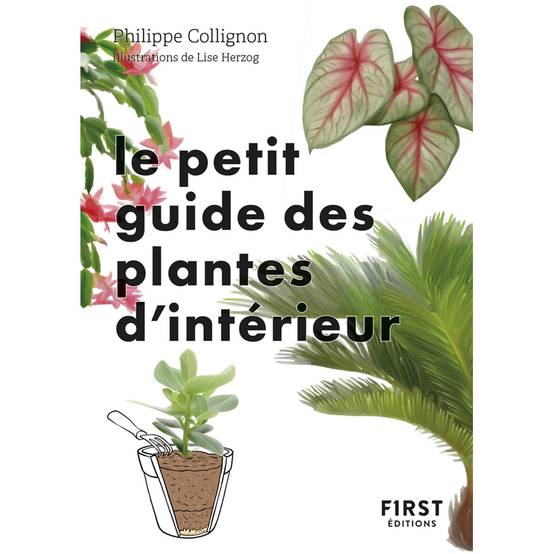 Promesse de Fleurs - Le Petit Guide jardin des plantes d'intérieur