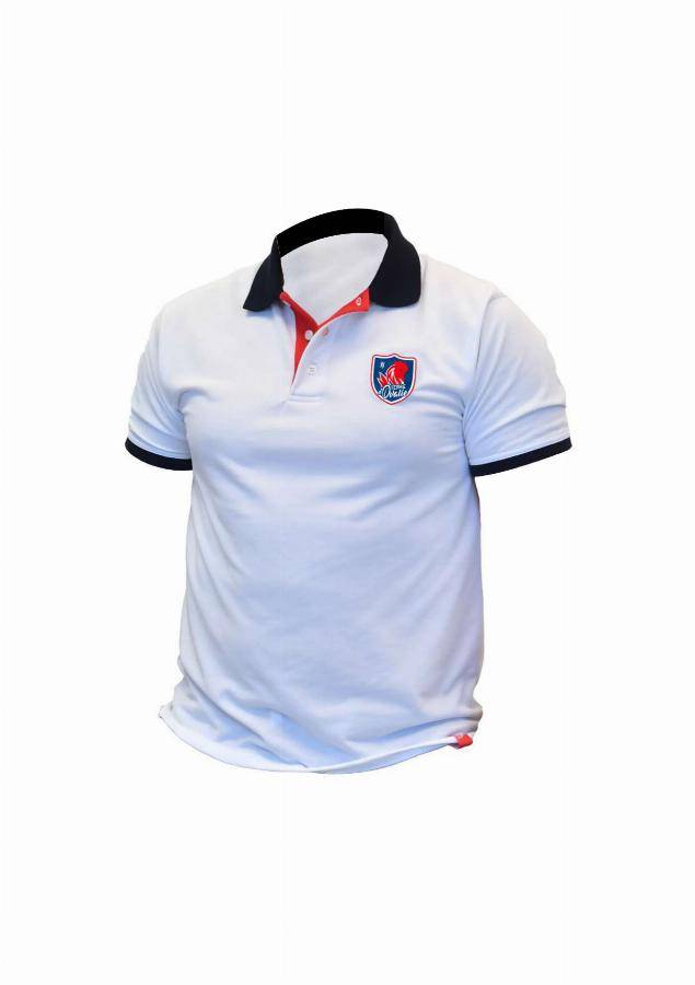 Polo manches courtes - TRICOTS BONNEMAILLE - France Barjo Bleu T.XXL - Image 1