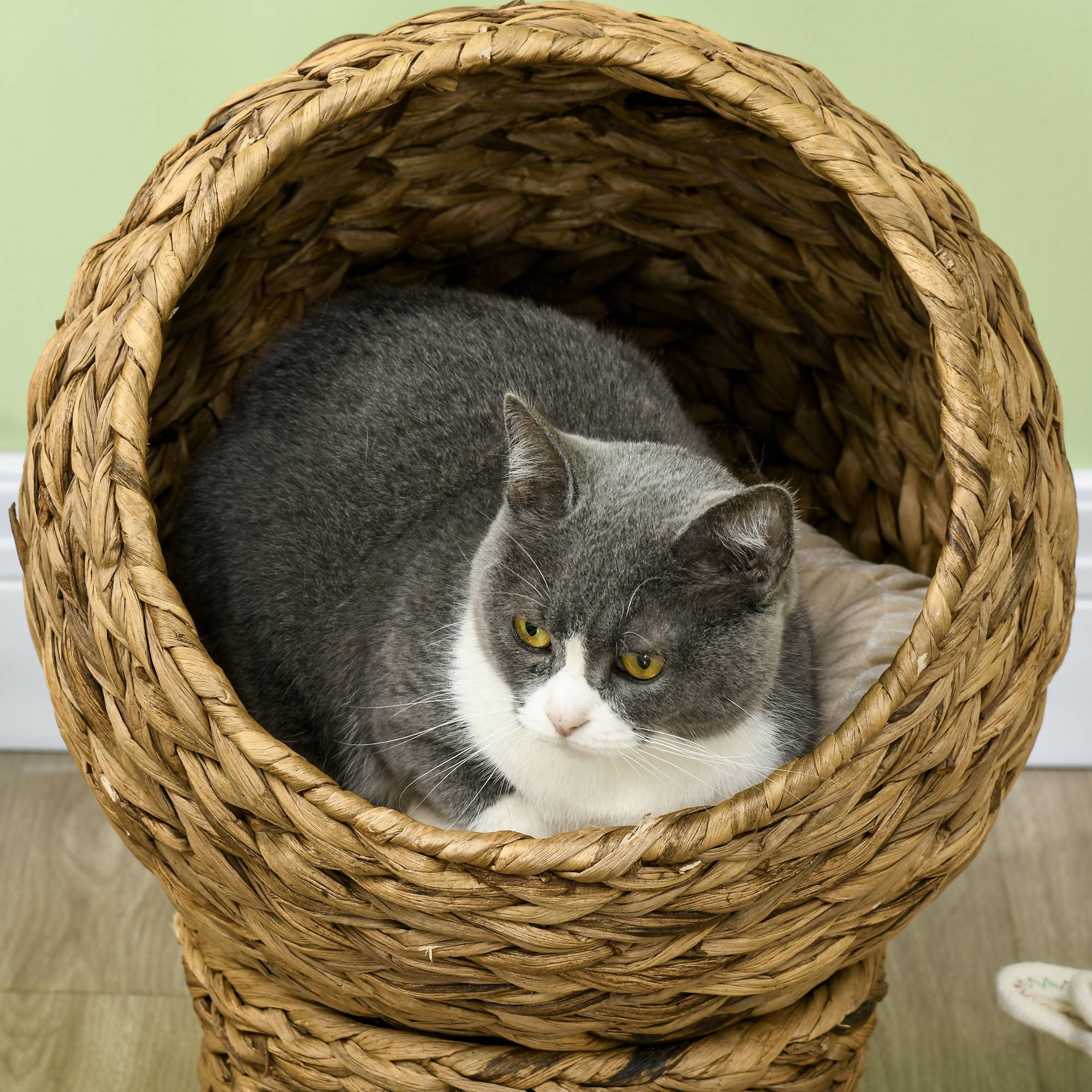 Sans Marque - Panier chat lit surélevé chat cosy niche grotte à chat grand confort dim. 40L x 37l x 51H cm coussin moelleux beige inclus - Image 10