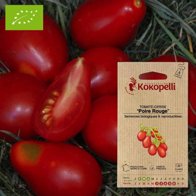 Tomate-Cerise Poire Rouge- Graines bio à semer
