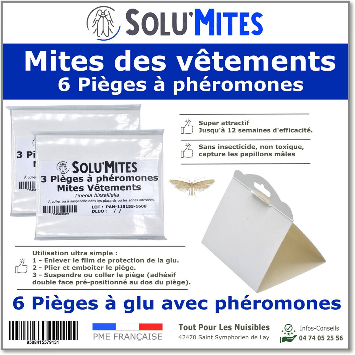SOLUMITES-Pièges Phéromones pour Teignes du vêtement-Lot 6 pièges - Image 1