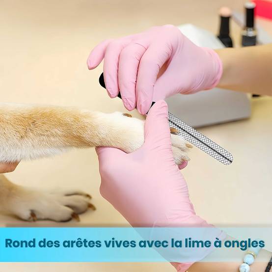 IntiMeg - Coupe - griffes pour chien et chat IntiMeg - Image 4