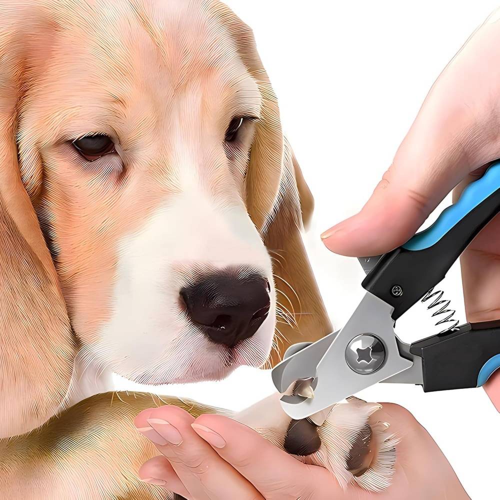 IntiMeg - Coupe - griffes pour chien et chat IntiMeg - Image 2