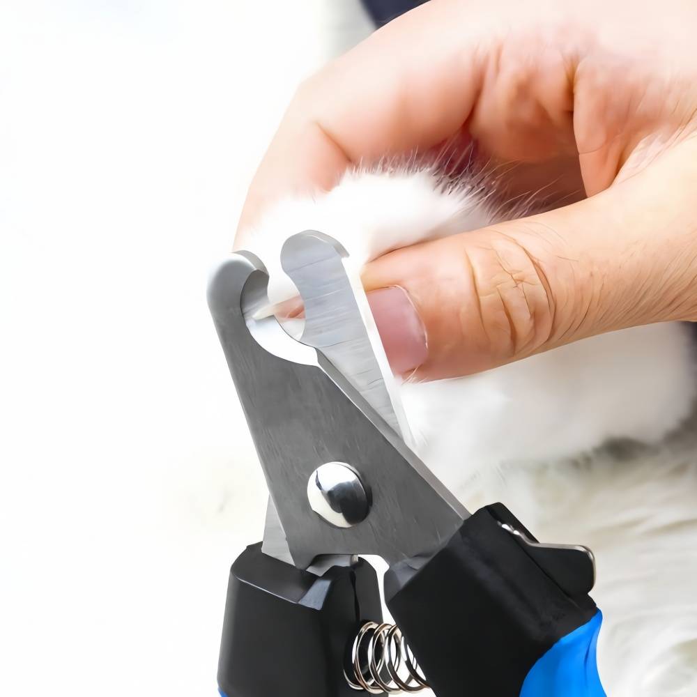IntiMeg - Coupe - griffes pour chien et chat IntiMeg - Image 5