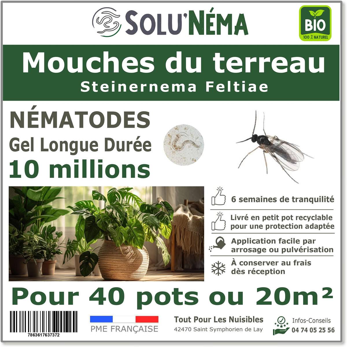 Solunéma - Nématodes SF contre la Mouche du Terreau - 10 millions Steinernema Feltiae - Traitement pour 40 pots soit environ 20m² - Image 1