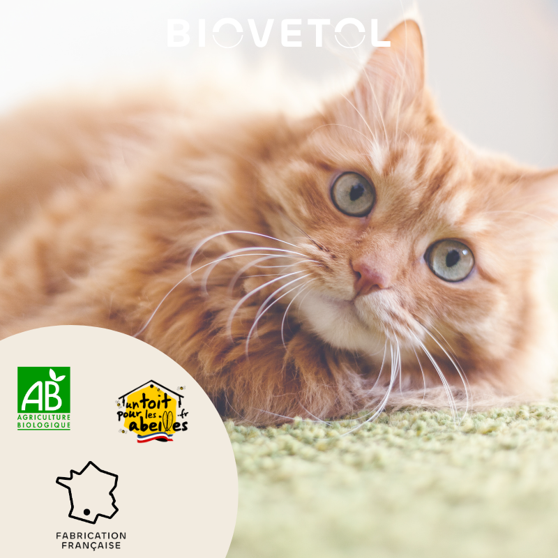 Biovetol - Comprimés Bio Bien-être Intestinal pour Chat & Chaton - Image 2