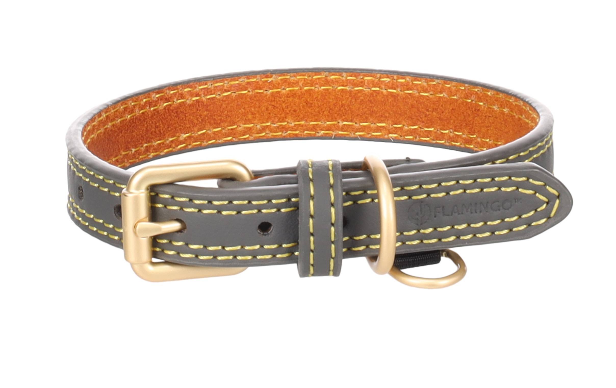 Eden - Collier pour chien Virginia en cuir L 43-53cm 25mm gris - Image 3