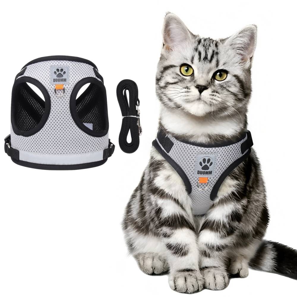 Harnais réfléchissant pour chat xs - IntiMeg - Image 1