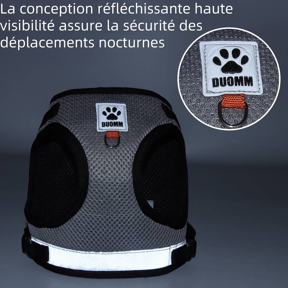 Harnais réfléchissant pour chat xs - IntiMeg - Image 3
