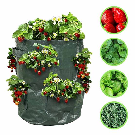 Sac à fraisiers - Sac de plantation pour fraises - X2 - Image 6