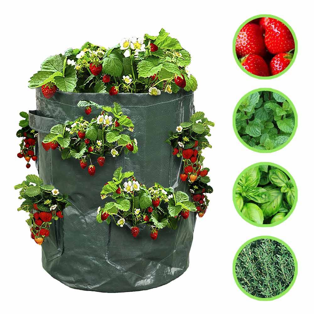 Sac à fraisiers - Sac de plantation pour fraises - X2 - Image 6