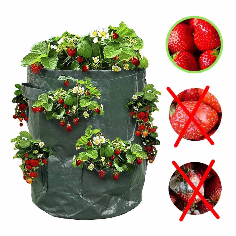 Sac à fraisiers - Sac de plantation pour fraises - X2 - Image 5
