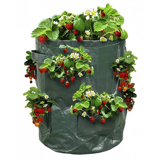 Sac à fraisiers - Sac de plantation pour fraises - X2 - Image 1