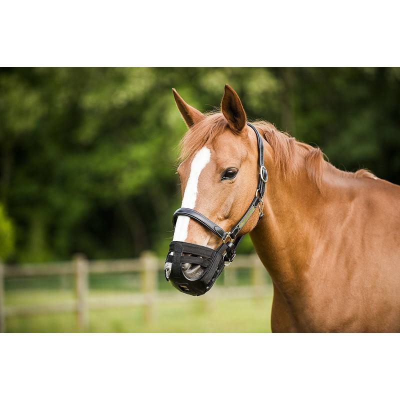 Norton - Panier Muselière pour chevaux de chez Norton Norton