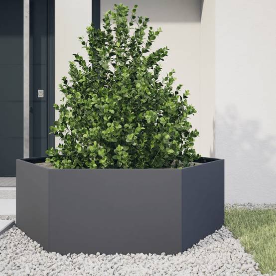 PANGIVO - Jardinière hexagone acier anthracite 138 x 120 x 45 cm - PANGIVO - Image 1