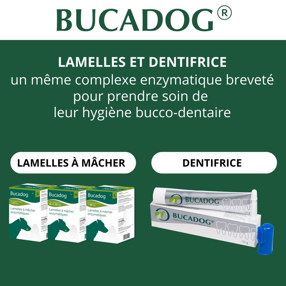 BUCADOG DENTIFRICE - OSALIA - Image 2